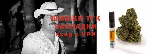 сатива Алзамай