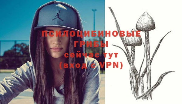 apvp Семилуки