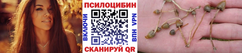 Галлюциногенные грибы мухоморы  Буй 